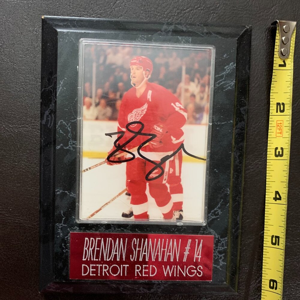 detroit red wings framed